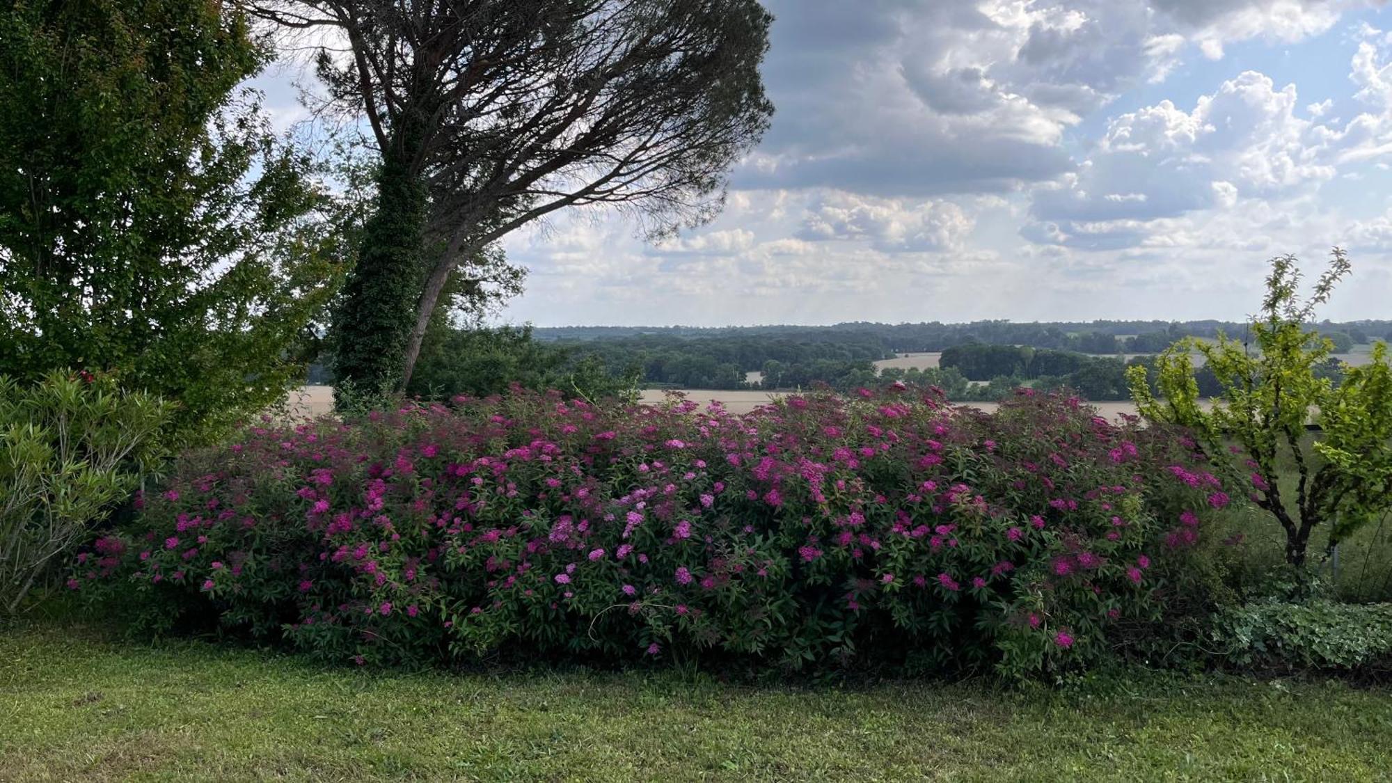 Metairie De Moutiques Villa Cazaubon Dış mekan fotoğraf
